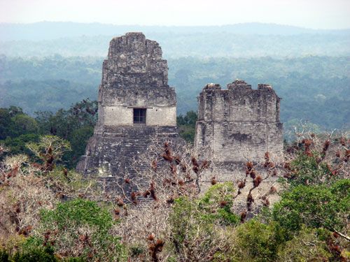 <span class="IndexTourName">Belize Jungle Trails</span>