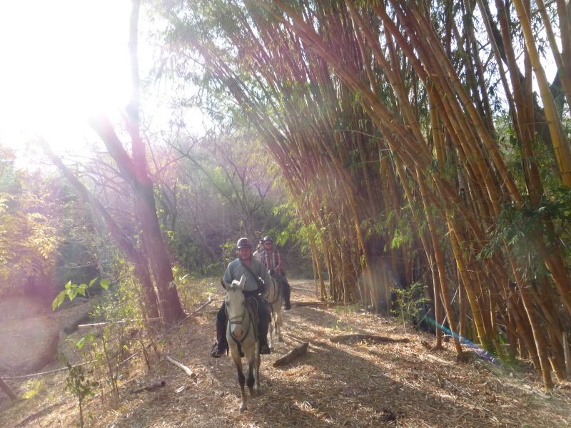 Aventure multisports dans la forêt tropicale