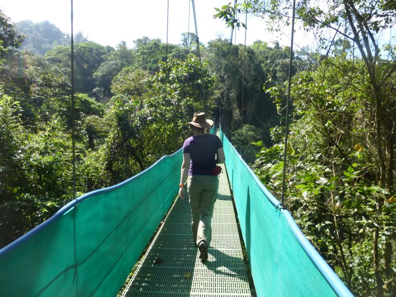 Aventure multisports dans la forêt tropicale