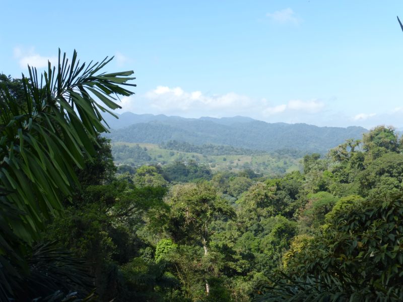 Aventure multisports dans la forêt tropicale