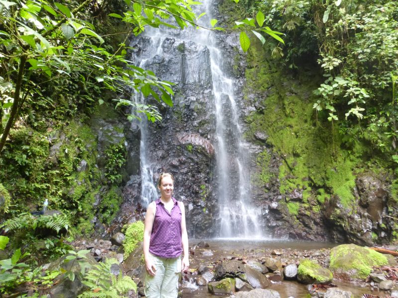 Aventure multisports dans la forêt tropicale