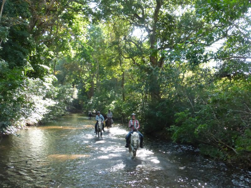 Aventure multisports dans la forêt tropicale