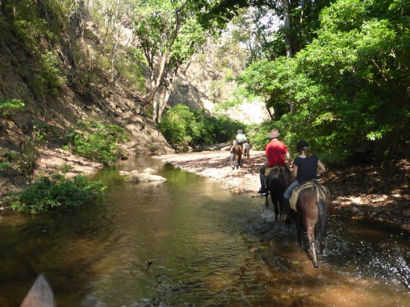 Aventure multisports dans la forêt tropicale