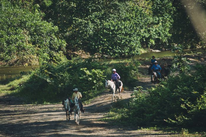Carara-Forest et Coast Trail