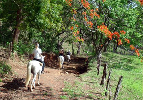 Vieille Hacienda espagnole