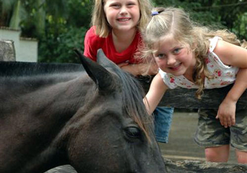 Volcans et mer au Guanacaste