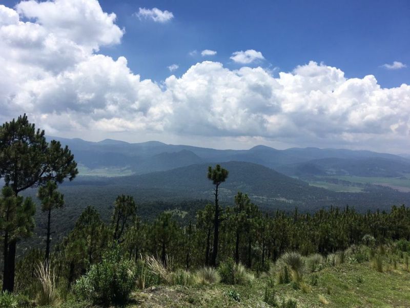 Ajusco Randonnées volcaniques et sauvages