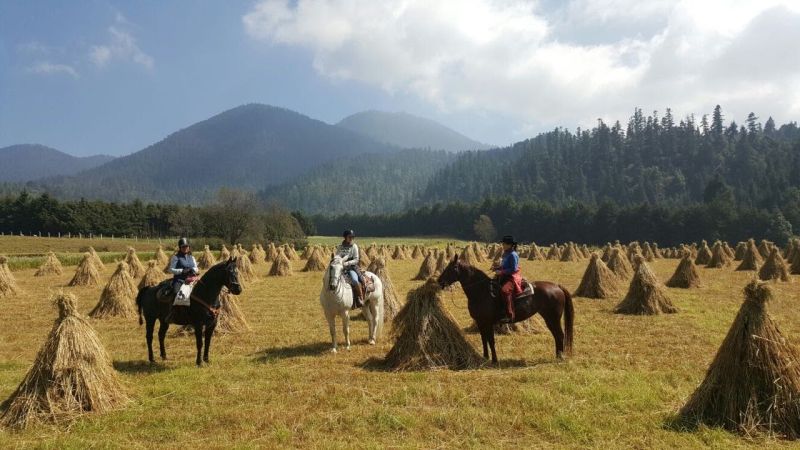 Ajusco Randonnées volcaniques et sauvages