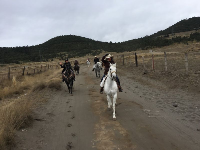 Ajusco Randonnées volcaniques et sauvages