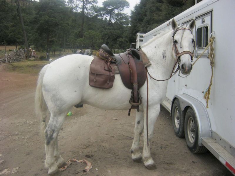 Ajusco Randonnées volcaniques et sauvages