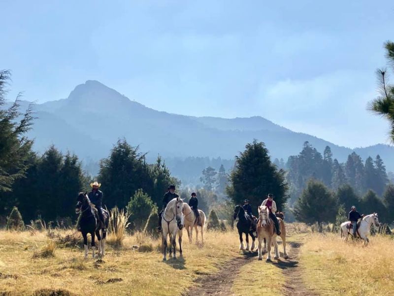 Ajusco Randonnées volcaniques et sauvages