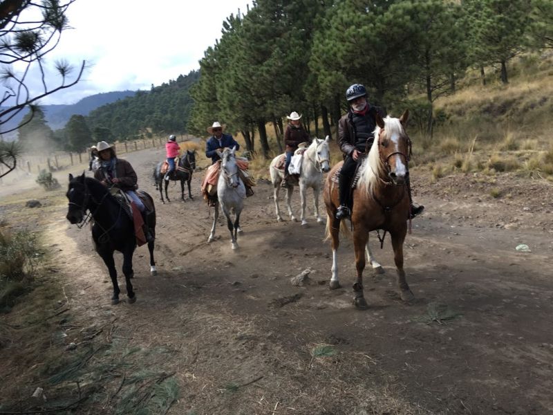 Ajusco Randonnées volcaniques et sauvages