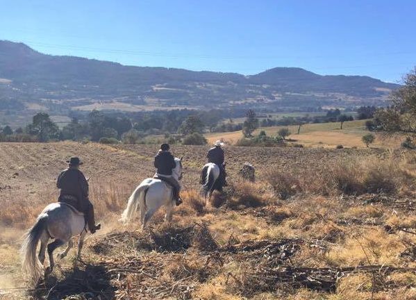 Ajusco Randonnées volcaniques et sauvages