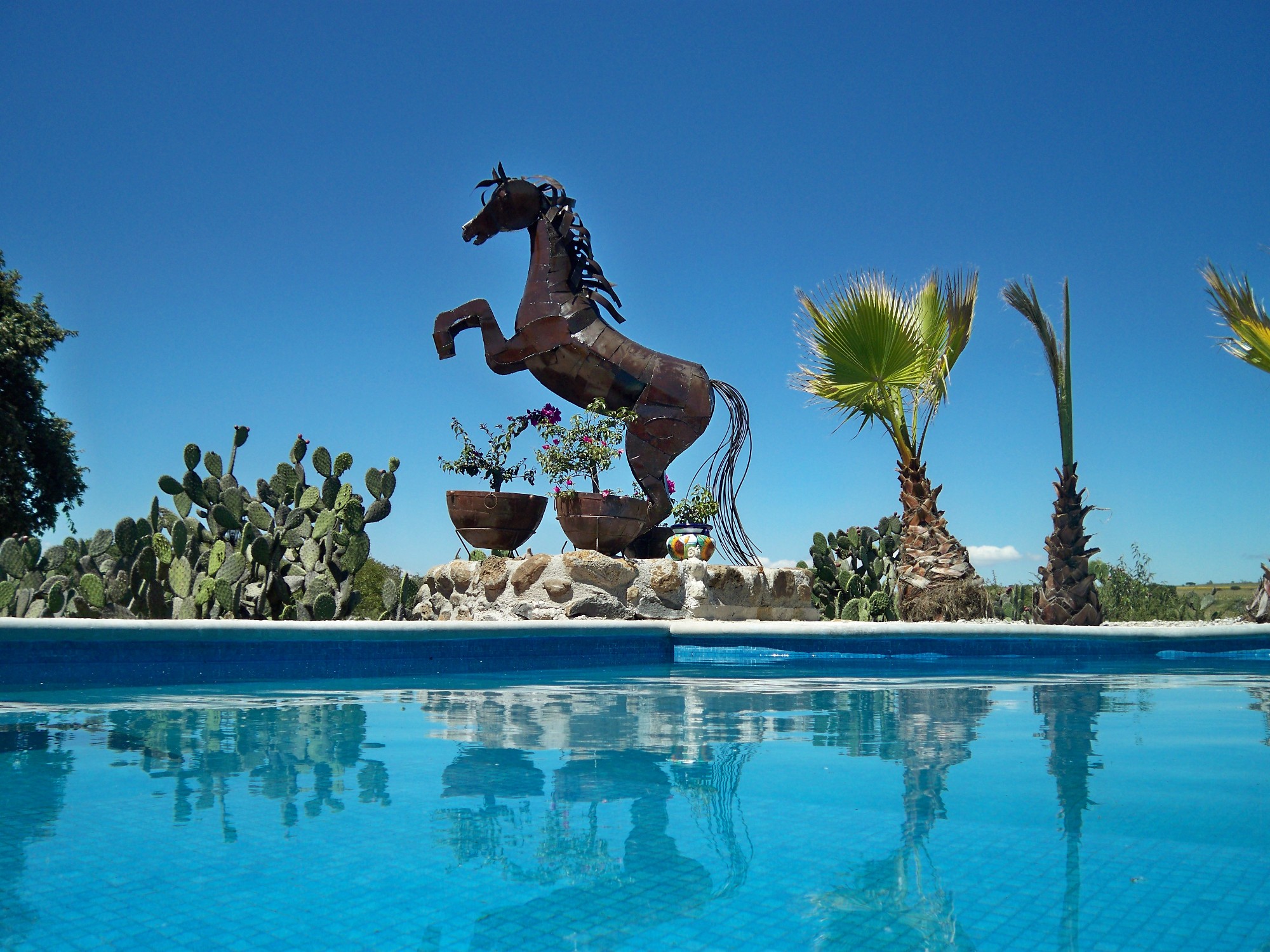 Rancho Mexicana Accomodation