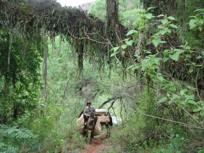 Le Chemin Inca près de Salta