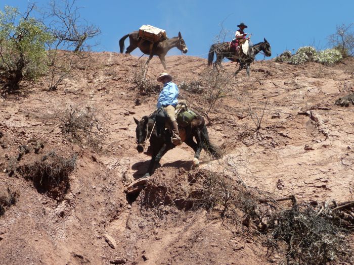 Le Chemin Inca près de Salta