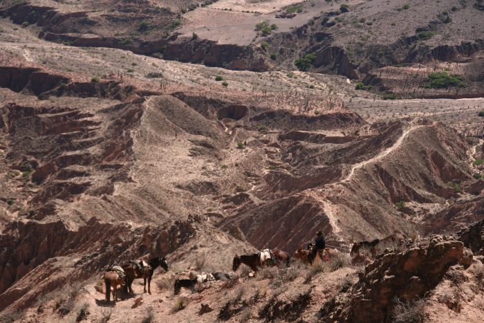 Le Chemin Inca près de Salta