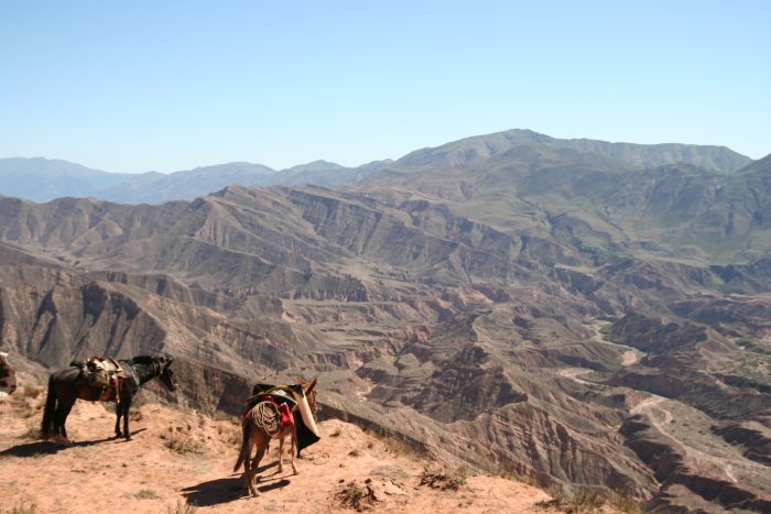 Le Chemin Inca près de Salta