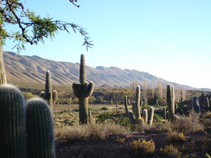 Le Chemin Inca près de Salta