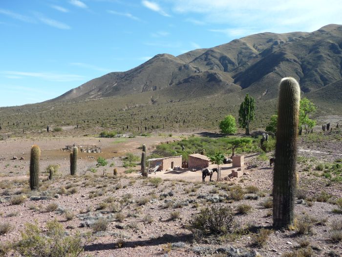 Le Chemin Inca près de Salta