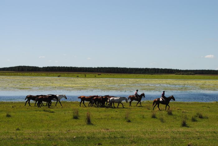 Semaine chez les gauchos de l'Esquina