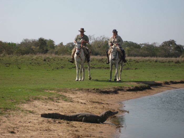 Balade du Pantanal