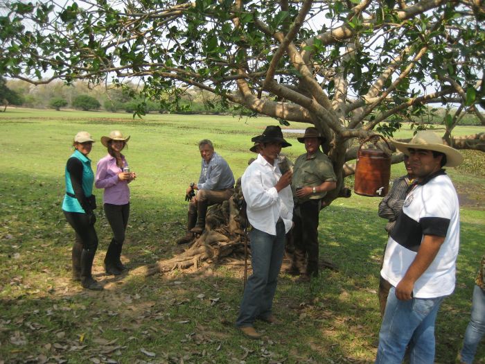 Balade du Pantanal