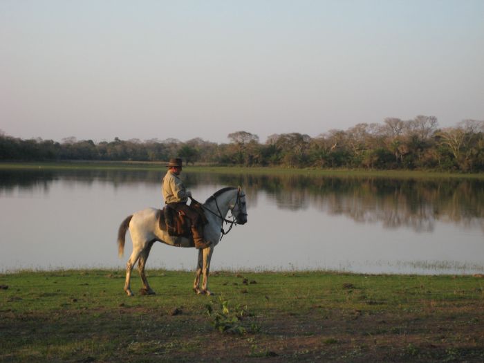 Balade du Pantanal