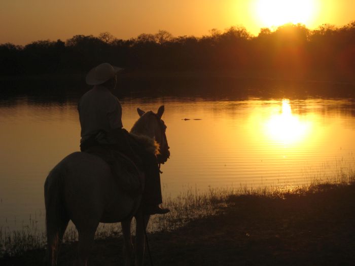 Balade du Pantanal
