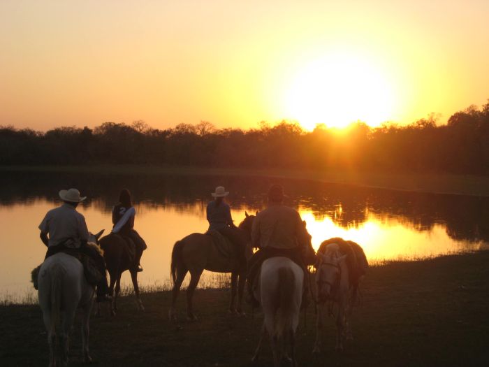 Balade du Pantanal