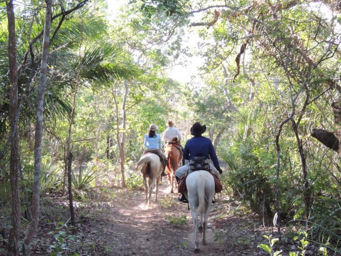 Balade du Pantanal