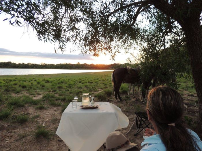 Balade du Pantanal
