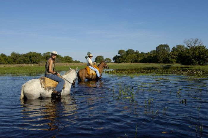 Balade du Pantanal