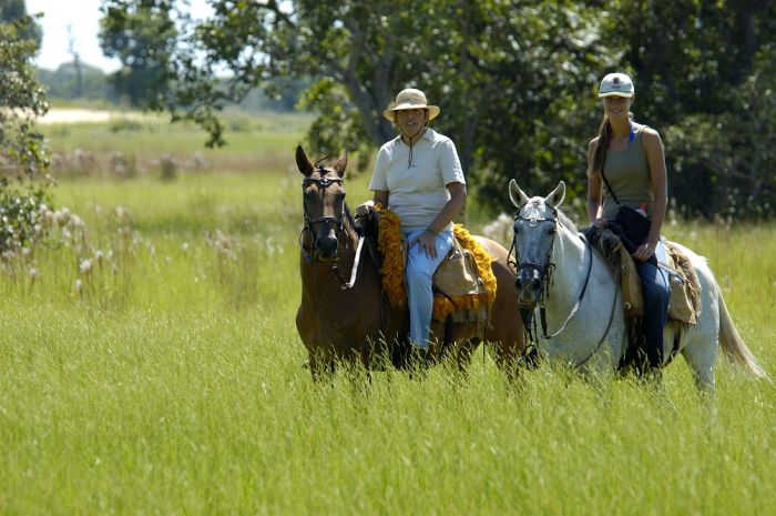 Balade du Pantanal
