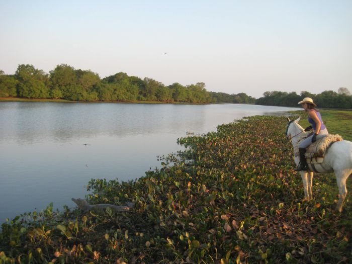 Balade du Pantanal