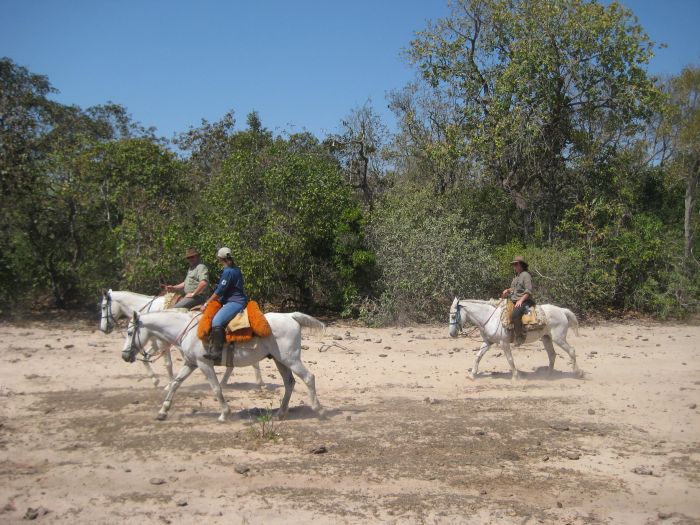 Balade du Pantanal