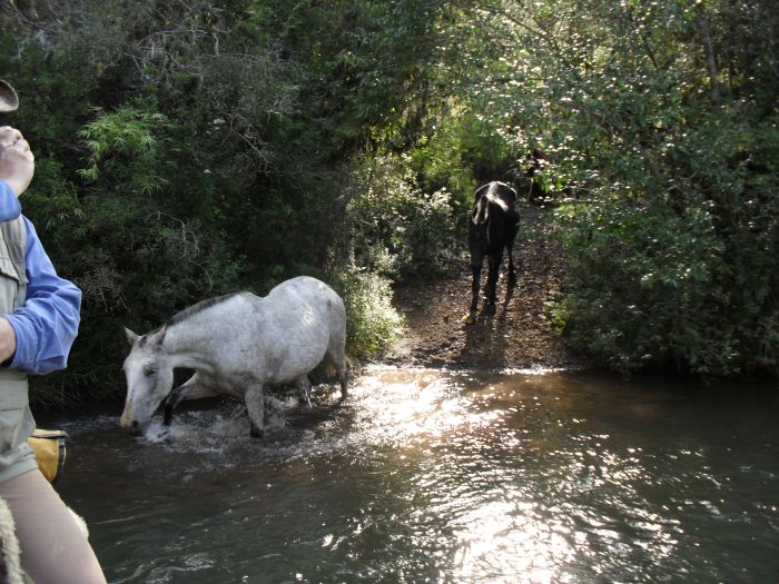 Randonnées avec les gauchos