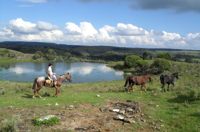 Randonnées avec les gauchos