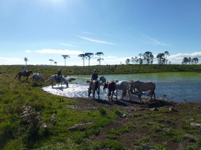 Randonnées avec les gauchos