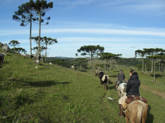 Randonnées avec les gauchos