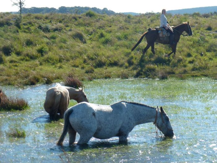Randonnées avec les gauchos