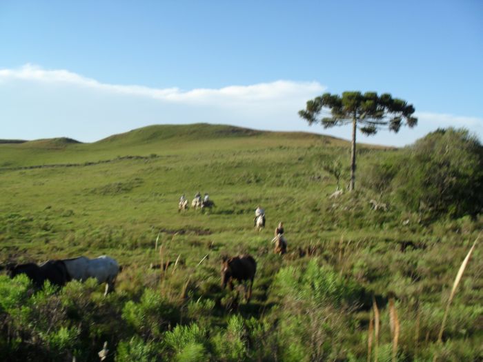 Randonnées avec les gauchos