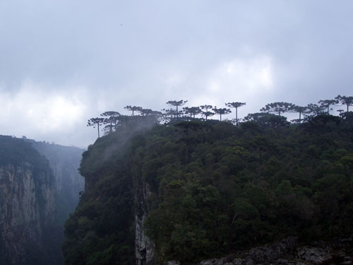 Canyons et chutes d'eau