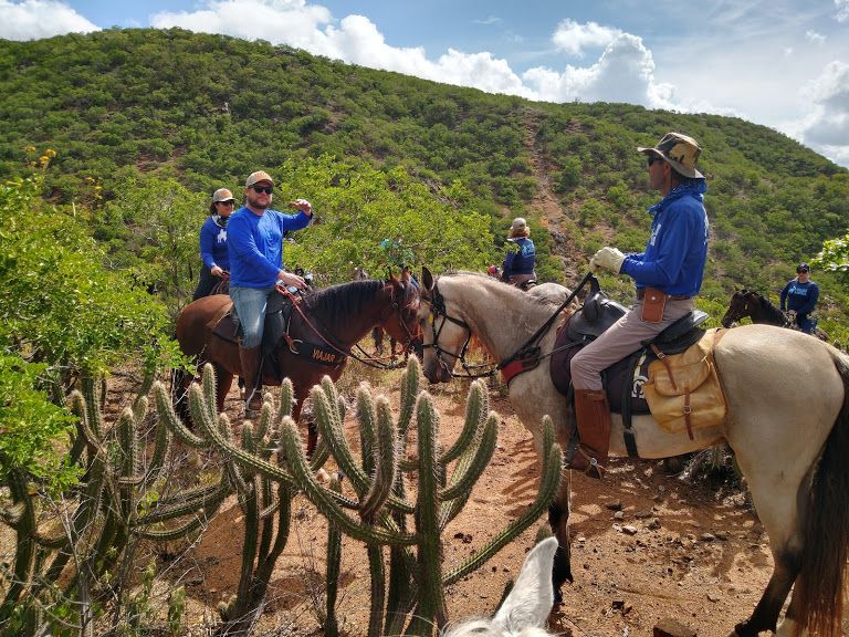 L'outback brésilien dans le nord-est