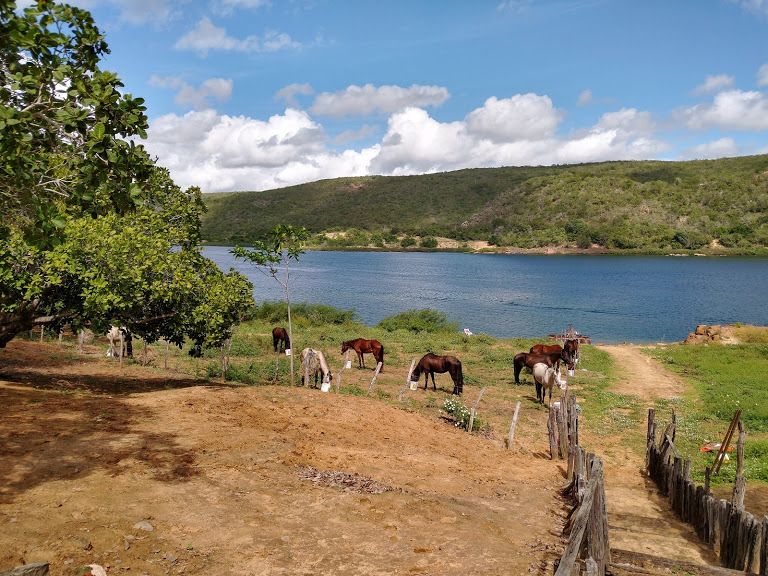 L'outback brésilien dans le nord-est