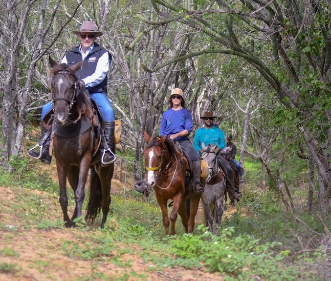 L'outback brésilien dans le nord-est