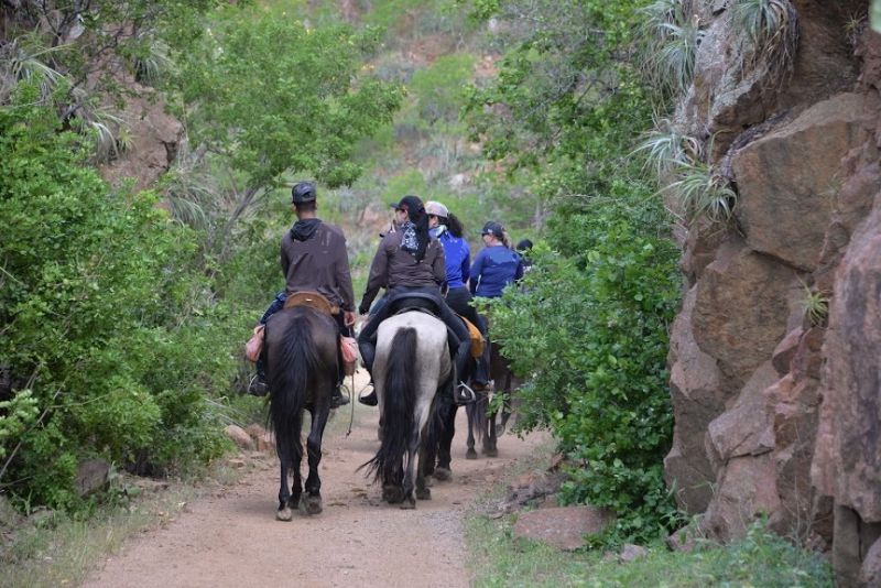 L'outback brésilien dans le nord-est