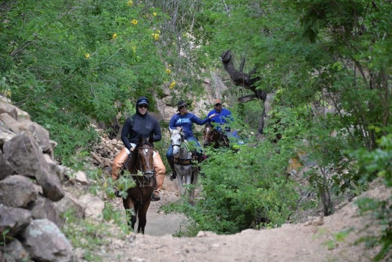 L'outback brésilien dans le nord-est