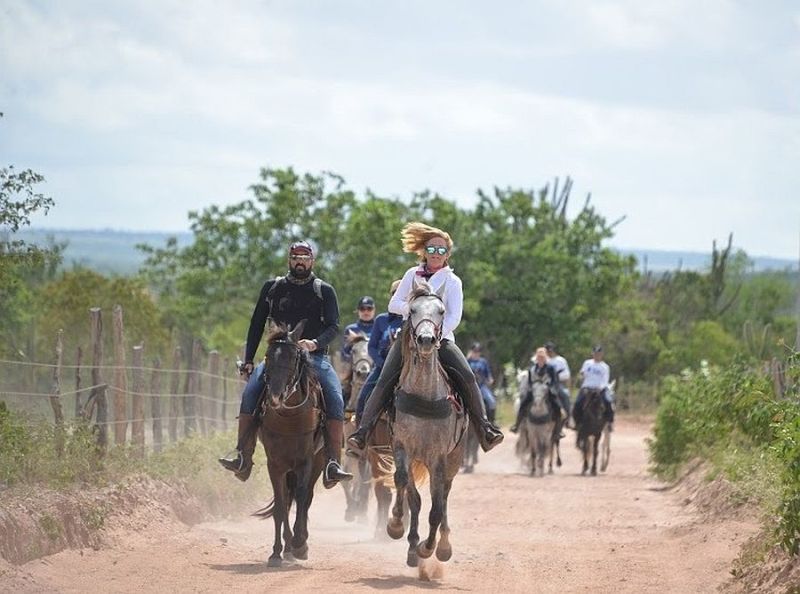 L'outback brésilien dans le nord-est