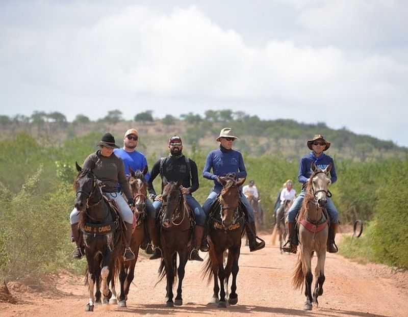 L'outback brésilien dans le nord-est